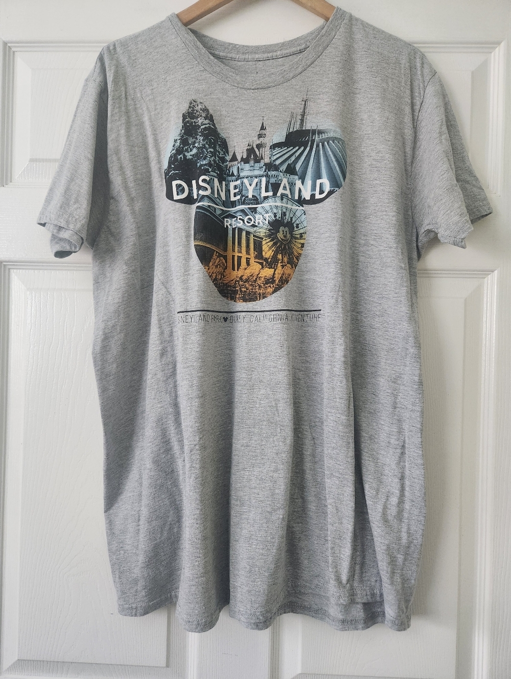 Disney Grey Disneyland Resort Graphic Tee with Multicolor Print - Men's 2X